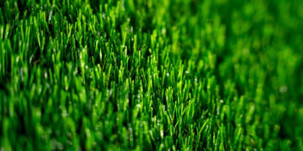 Background of artificial green grass at the showroom of a large store Background of artificial green grass at the showroom of a large store